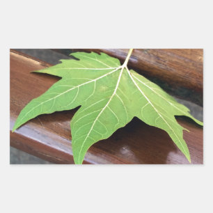 fallen leaf rectangular sticker