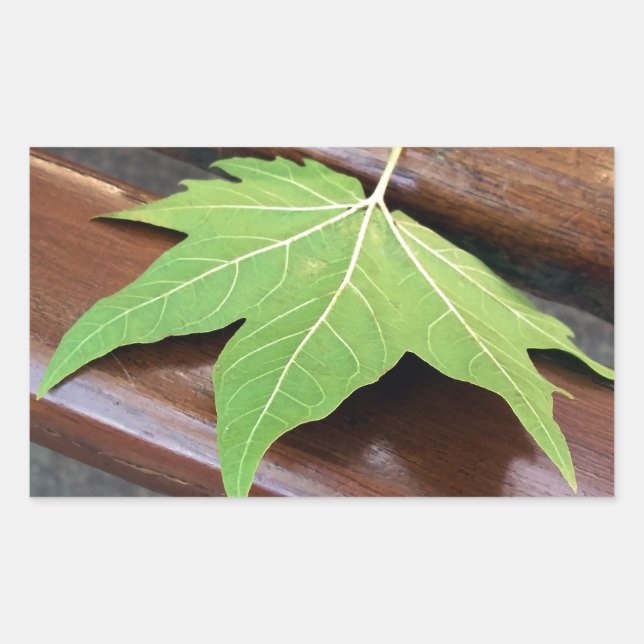 fallen leaf rectangular sticker (Front)