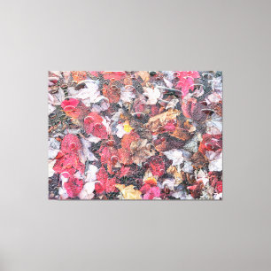 Fallen Leaves Canvas Print