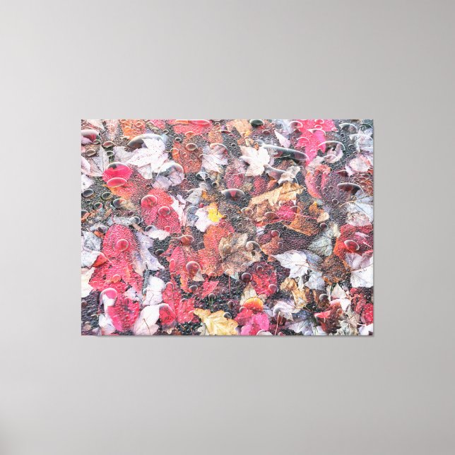 Fallen Leaves Canvas Print (Front)