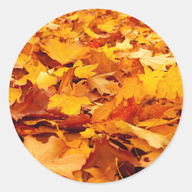 Fallen Leaves Envelope Seal Stickers (Front)