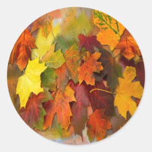 FALLEN LEAVES ~ Envelope Sealers/Stickers Classic Round Sticker