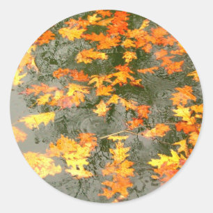 fallen leaves in rain classic round sticker