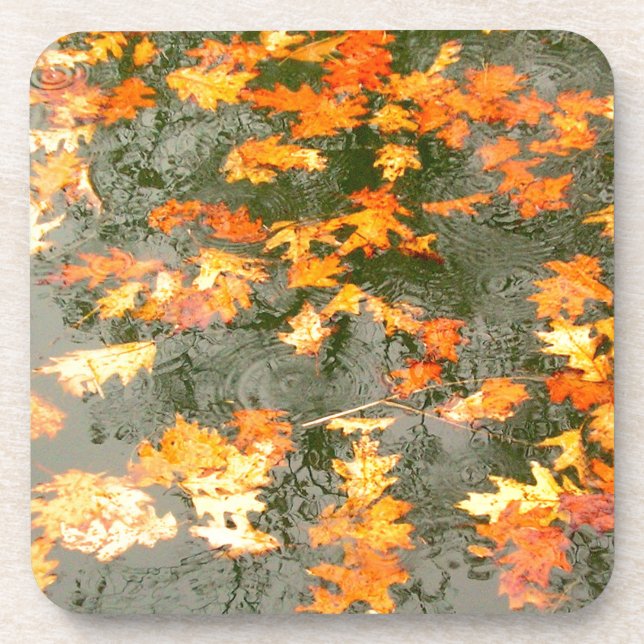 fallen leaves in rain coaster (Front)