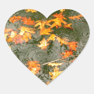fallen leaves in rain heart sticker