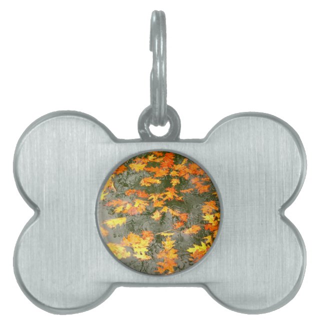 fallen leaves in rain pet tag (Front)