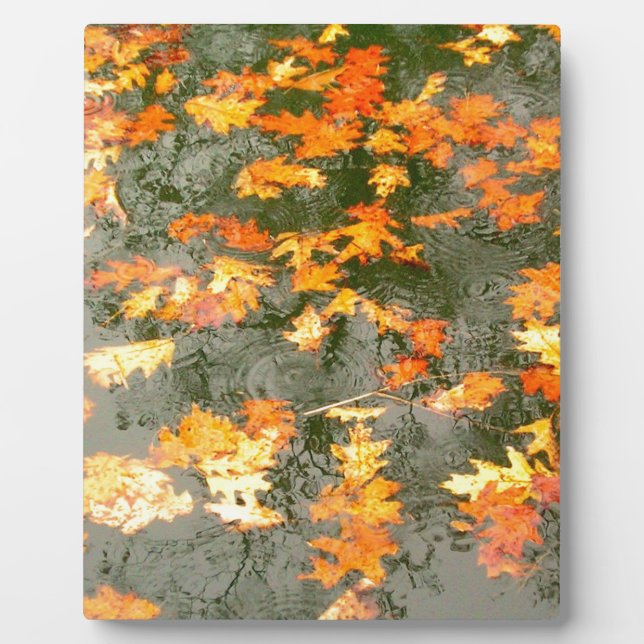 fallen leaves in rain plaque (Front)