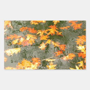 fallen leaves in rain rectangular sticker
