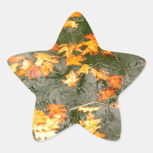 fallen leaves in rain star sticker