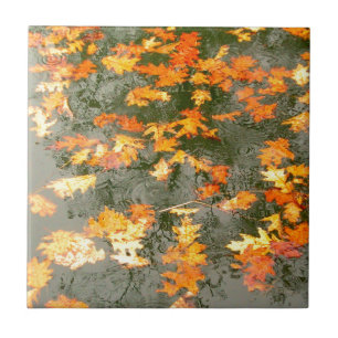 fallen leaves in rain tile
