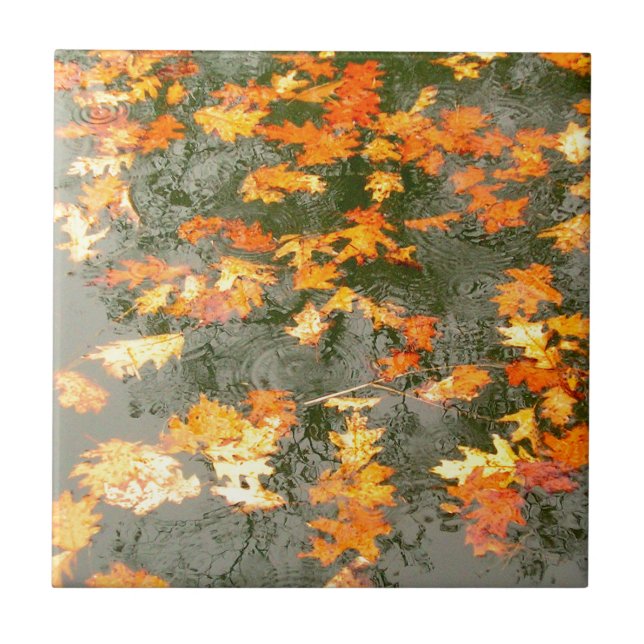 fallen leaves in rain tile (Front)