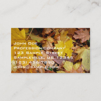 Fallen Maple Leaves Yellow Autumn Nature Business Card