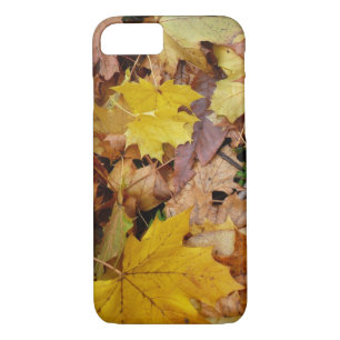 Fallen Maple Leaves Yellow Autumn Nature iPhone 8/7 Case