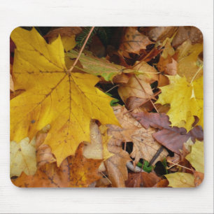 Fallen Maple Leaves Yellow Autumn Nature Mouse Mat