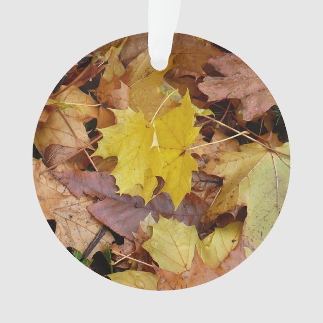 Fallen Maple Leaves Yellow Autumn Nature Ornament (Front)