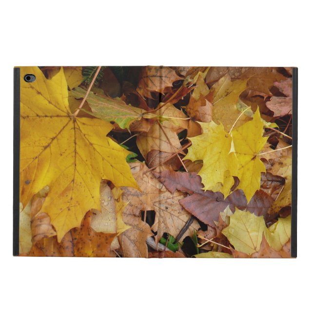 Fallen Maple Leaves Yellow Autumn Nature Powis iPad Air 2 Case (Outside)