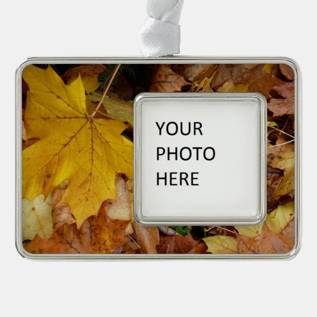 Fallen Maple Leaves Yellow Autumn Nature Silver Plated Framed Ornament (Front)