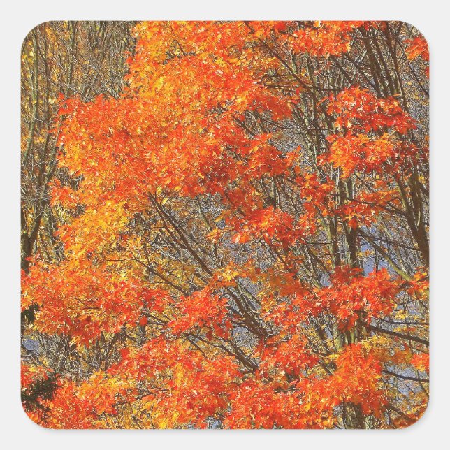 Fallen Square Sticker (Front)