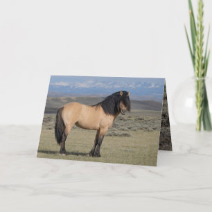 "Fallen Star in Front of the Wind River Mountains" Invitation