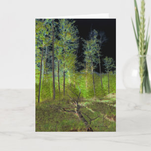 Fallen Tree: Adirondack Forest Scene Altered Photo Card