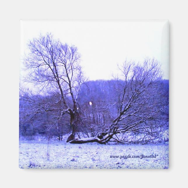 Fallen Tree Blue Magnet (Front)