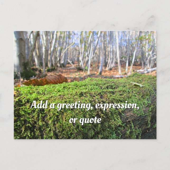Fallen Tree in Autumn Moss - Personalised Postcard (Front)