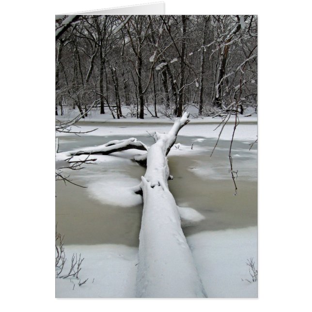 Fallen Tree in Winter Card (Front)