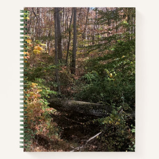 Fallen Tree In Woods Spiral Journal
