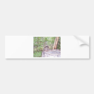 Fallen Tree with Stump in Forest Bumper Sticker