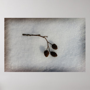 fallen twig poster