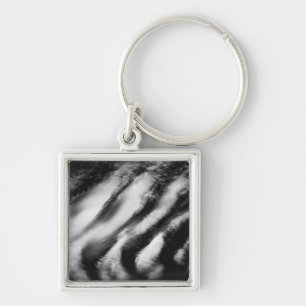 fallen vultures key ring