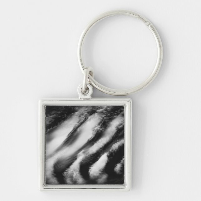 fallen vultures key ring (Front)