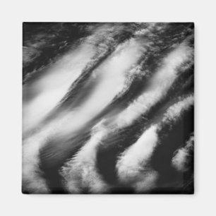 fallen vultures magnet