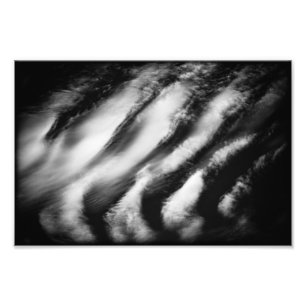 fallen vultures photo print