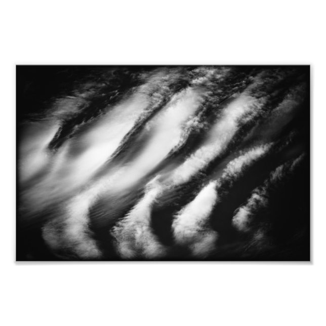 fallen vultures photo print (Front)