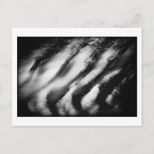 fallen vultures postcard