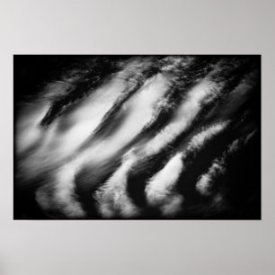 fallen vultures poster