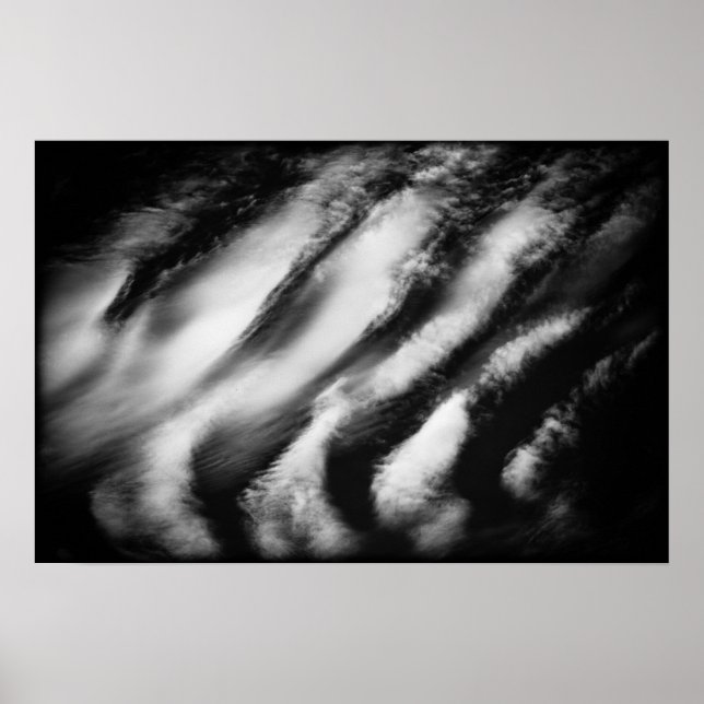 fallen vultures poster (Front)