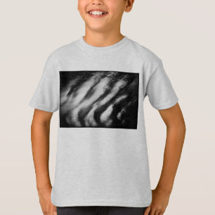 fallen vultures T-Shirt