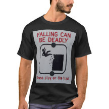 Falling can be deadly