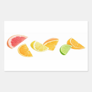 Falling citrus slices rectangular sticker