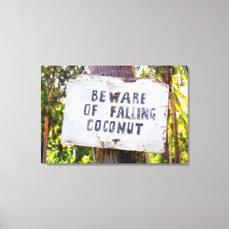 FALLING COCONUTS 24x36 Canvas Print
