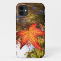 Falling Leaf from a tree in autumn