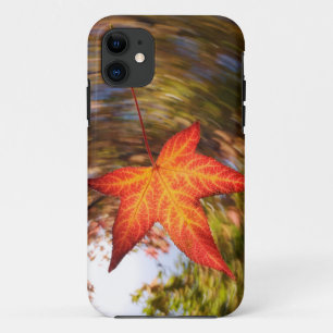 Falling Leaf from a tree in autumn iPhone 11 Case