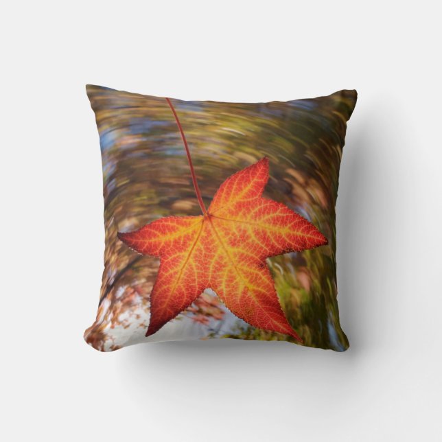 Falling Leaf from a tree in autumn Cushion (Front)