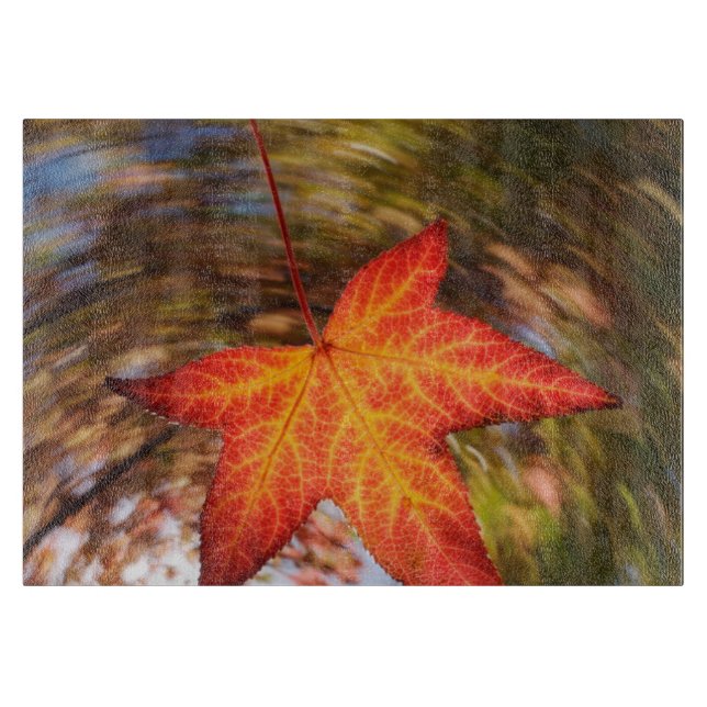 Falling Leaf from a tree in autumn Cutting Board (Front)