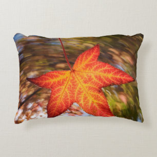 Falling Leaf from a tree in autumn Decorative Cushion