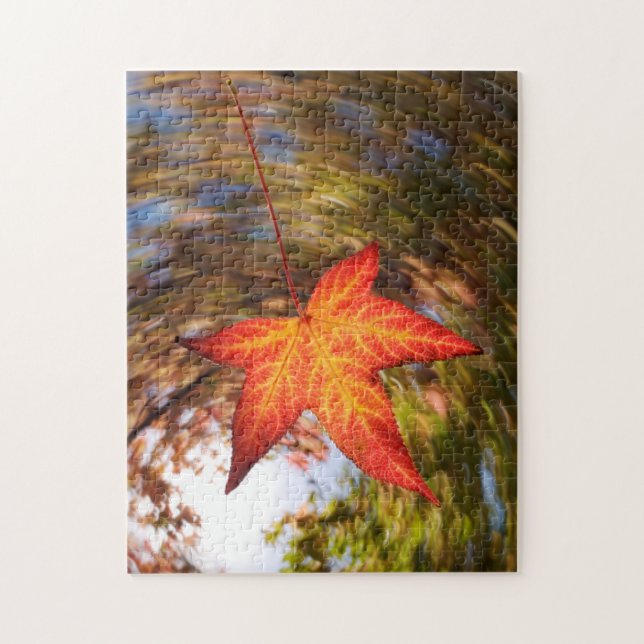 Falling Leaf from a tree in autumn Jigsaw Puzzle (Vertical)
