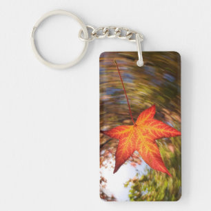 Falling Leaf from a tree in autumn Key Ring