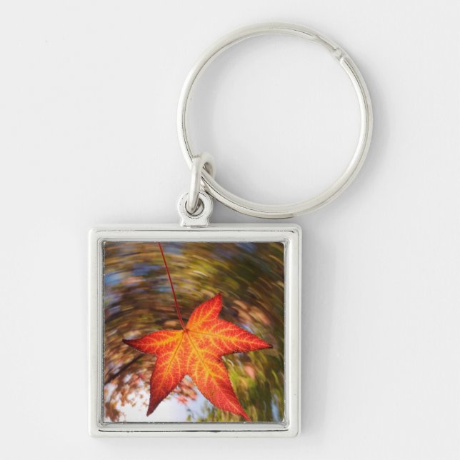 Falling Leaf from a tree in autumn Key Ring (Front)